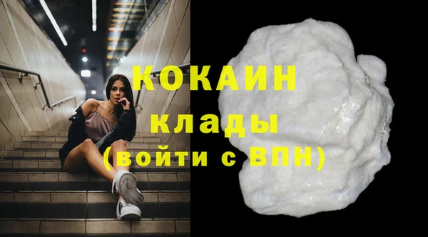 стаф Алзамай