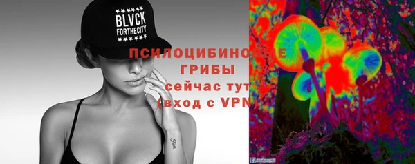 мяу мяу мука Алексеевка