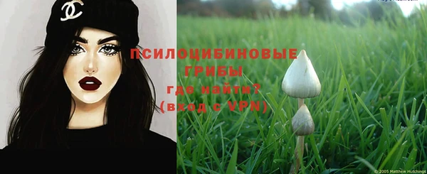 мяу мяу мука Алексеевка