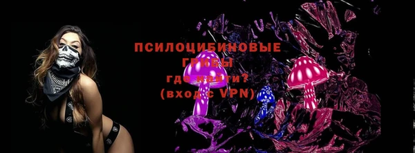 стаф Алзамай