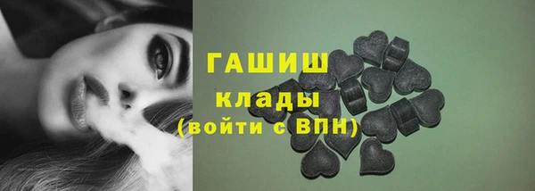 стаф Алзамай