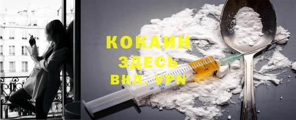 стаф Алзамай