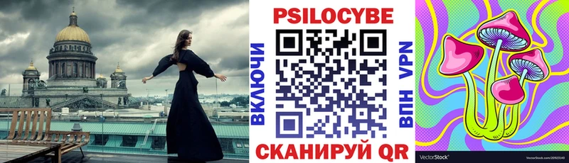 закладка  Малаховка  Псилоцибиновые грибы мицелий 